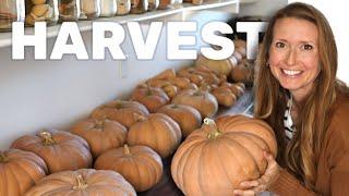 300lb Winter Squash Harvest, Prepping for 75 Chicks, and Adding Ends Walls on our Tunnel