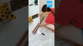 Seal the Gap, Stop the Mess!  | Genius Door Gap Filler
