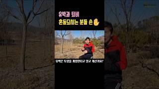 유박,퇴비,비료 초간단정리 #shorts #유박#퇴비#비료