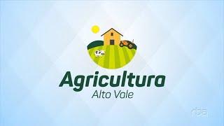 Agricultura Alto Vale – Ed. 20/07/2024