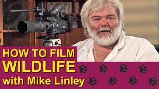 How To Film Wildlife with Mike Linley