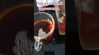 Чай из стеблей одуванчика. #чай