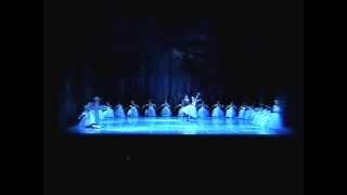 ANDREA KRAMESOVA and VIKTOR KOCIAN in Giselle 2nd act pdd.mp4