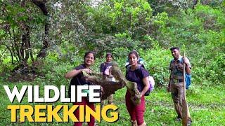 Deep Forest Trekking Periyar | Full Day Bamboo Rafting & Trekking in Periyar Tiger Reserve |DotGreen