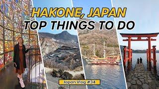 Top Things To Do in HAKONE, JAPAN ️ | Open Air Museum  | Owakudani  | Pirate Ship  | Shrine ️