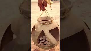 Birds Lover ️🫂  #krishnagar17 #trending #shortsviral #ytshorts #indian #entertainment #desi #birds