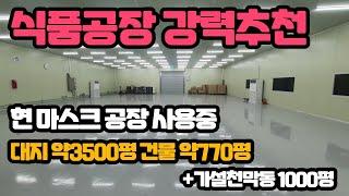 [매매완료] 충북 진천 음성 공장 매매 대지약3500평 건물약770평 식품공장 추천 마당 야드 넓게쓰는 공장 매매 추천 [매매완료]