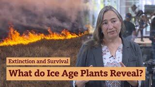 What Do Ice Age Plants Reveal? with Regan Dunn #tarpits #labrea #LA #losangeles