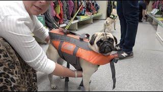 Life Jacket Shopping!