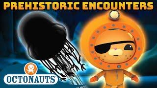 ​@Octonauts - 🪨 Prehistoric Encounters ️ | Compilation | Underwater Sea Education