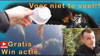 Koi voorjaar.. Rustig aan beginnen met voeren!! Plus win actie!!