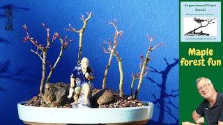 Creating a Japanese Maple Bonsai Group - It is EASY