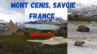 #LAC du MONT CENIS + Marmot | Haute Maurienne Vanoise