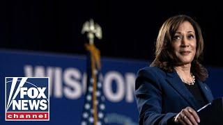 Enthusiasm for Kamala Harris is ‘not going to mean much’ come November: GOP lawmaker