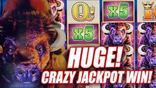 INSANE BETS LEAD TO MASSIVE JACKPOTS ON BUFFALO SLOT MACHINE  BONUS JACKPOT WINS