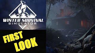 Winter Survival Simulator - First Look