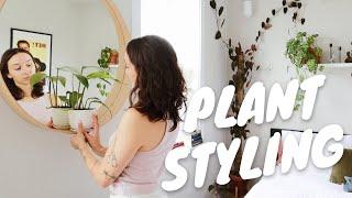 6 tips for styling houseplants in your home | plant stands, pots, spacing, and more!