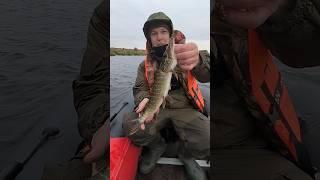 Рыбалка на спиннинг в ноябре #shortvideo #рыбалка #щука