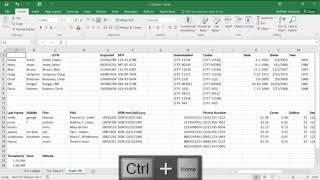 Microsoft Excel 2016: Using Flash Fill