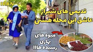 Shiraz Street Walking tour on Nader Street to Paramont - Iran Daily Walking Tour خیابون نادر شیراز