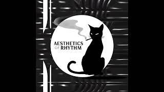 Aesthetics of Rhythm │Mix Of Original Music From The Vector