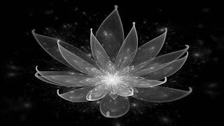 The Heart of all Buddhism. Lotus Sutra Part 1