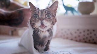 The Ultimate BUB BATHING VIDEO.