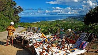 Barbados| Island Tours & Excursions | Trips