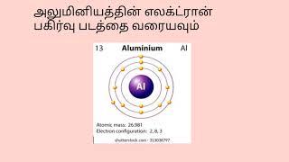 9th science tamil medium kalvi tv assignment.