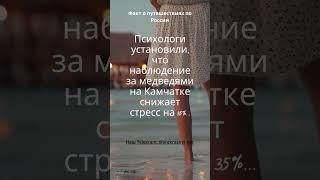 Мир Путешествий и Приключений ️ 2 #НашМир #путешествия #приключения