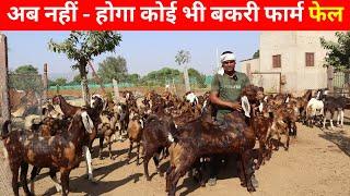 अब होगी बकरी पालन से लाखो की कमाई I Goat farming I Bakri Palan