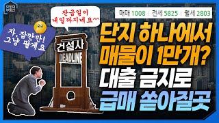 대출규제때문에 6개월간 강제로 던져기매물이 나올곳을 미리 알 수 있다면