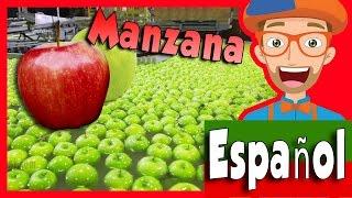 Frutas para Niños con Blippi | Tour por la Fábrica de Manzanas