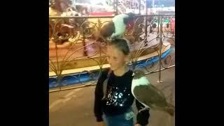 Мы снимаемся в кино / Съемки фильма в Одессе