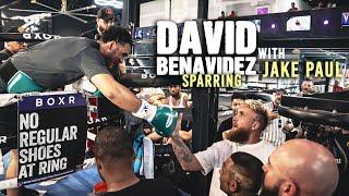 DAVID BENAVIDEZ SPARS with JAKE PAUL