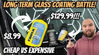 Long Term Windshield Ceramic Coating Test! I Compare Cheap vs. Expensive Glass Coatings