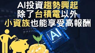 AI投資趨勢興起｜除了台積電以外｜小資族也能享受高報酬(附中文字幕)