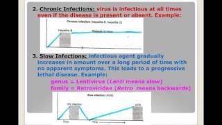 Persistent Infection notes.mp4