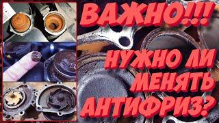 Нужно ли менять антифриз и как часто это делать? Это важно!!!