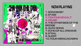 小王XiAOWANG - KATCHAKATCHA [FULL ALBUM STREAM] (Damnably 2024)