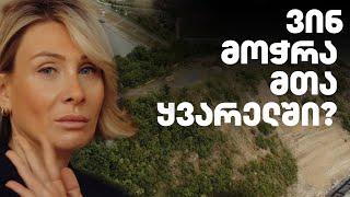 "წილოსანის მთა" | ამბავი კუდიგორაზე, რომელიც მოჭრეს