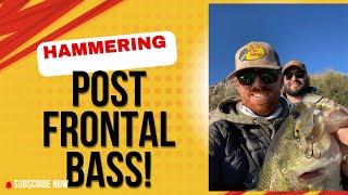 Hammering Post Frontal Bass!
