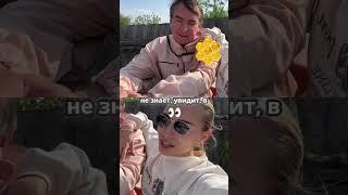 С чего начать пчеловодство?