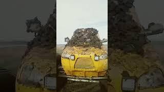 ужас