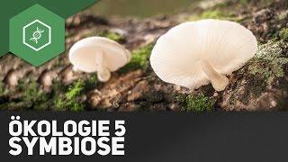 Symbiose – Ökologie 5