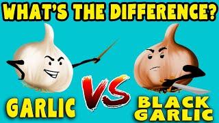Black vs Regular GARLIC - What's the difference?