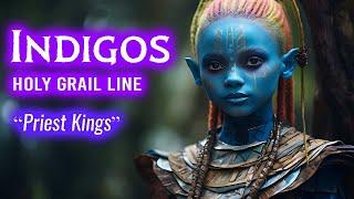 Indigo Children: PRIEST KINGS of the “Holy Grail”