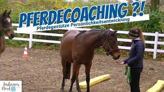 Pferdecoaching - Pferdegestützte Persönlichkeitsentwicklung
