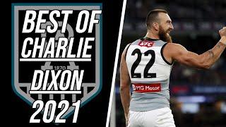 Charlie Dixon 2021 AFL Highlights