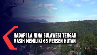 Hadapi La Nina, Sulawesi Tengah Masih Memiliki 65 Persen Hutan